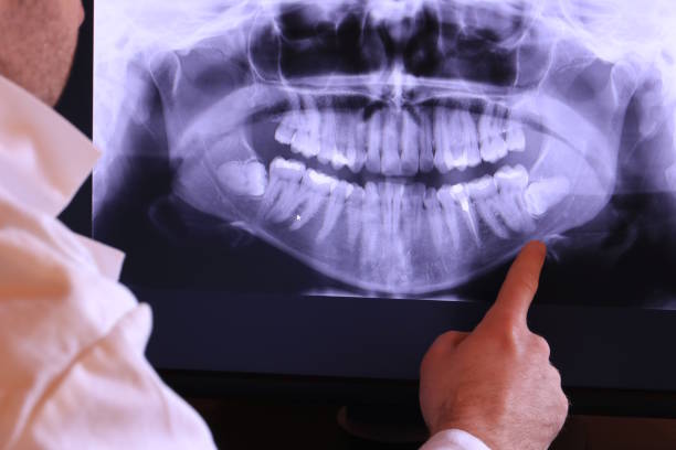 Best Emergency X-Rays and Diagnostics in North Wantagh, NY